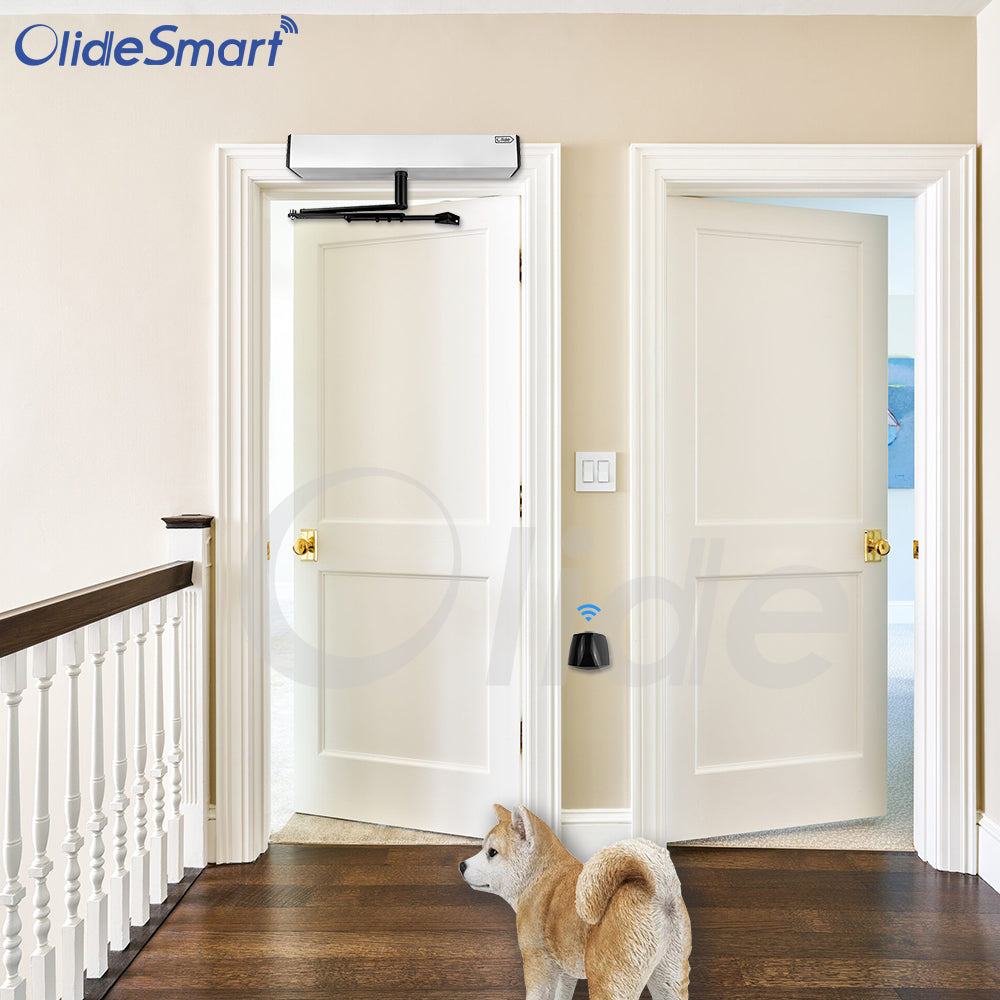 Automatic dog door opener best sale