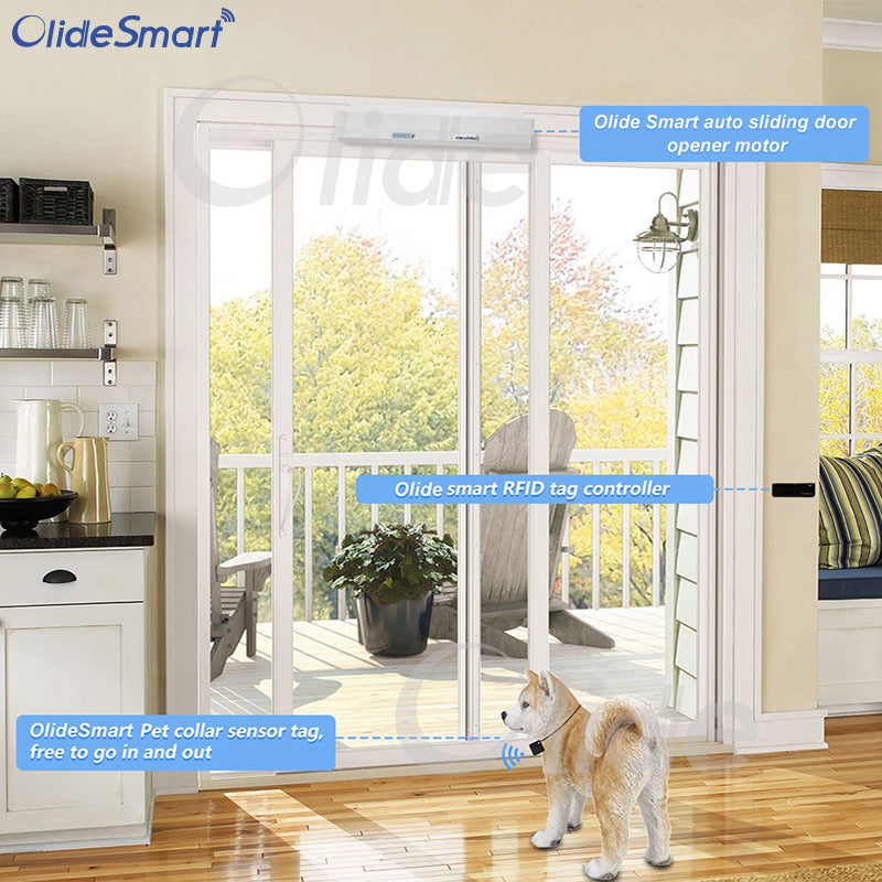 Pet door with collar sensor best sale